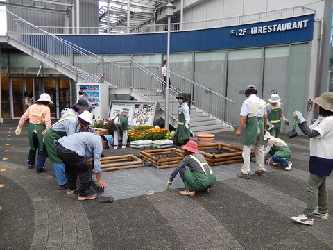 DSCN6785