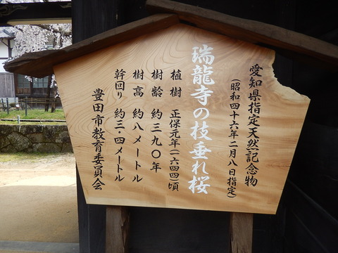 DSCN2352
