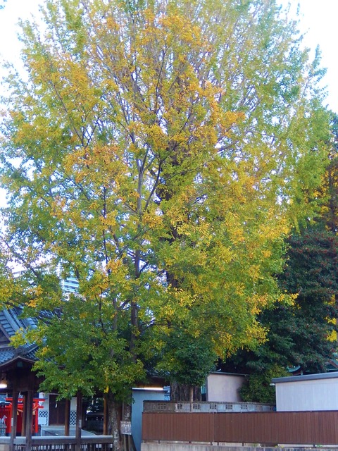 DSCN8012
