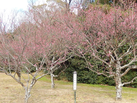 DSCN0160