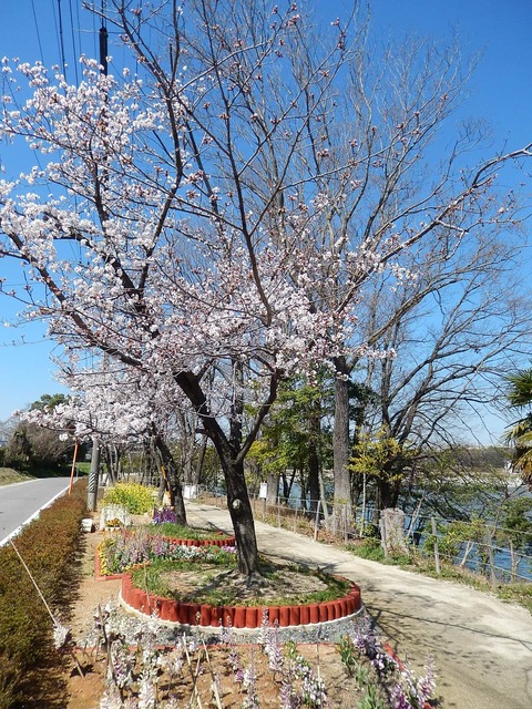 DSCN0186
