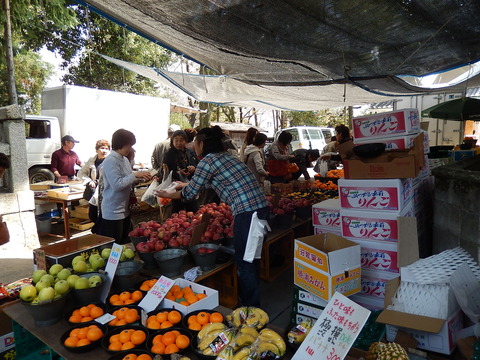DSCN0693