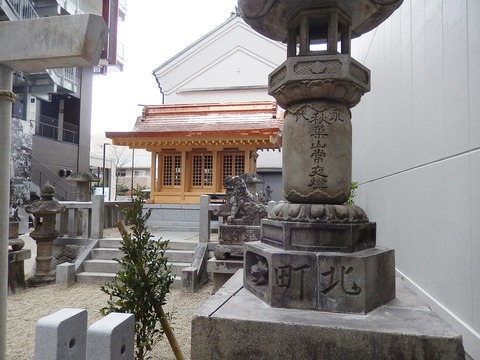 DSCN8903 (2)