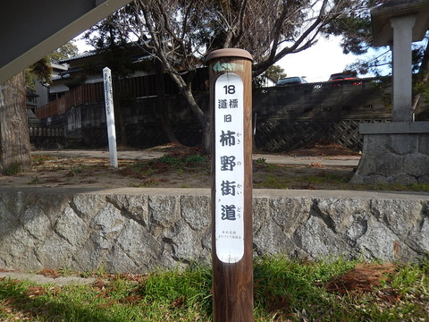 DSCN9497