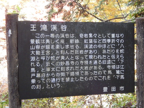 DSCN9314