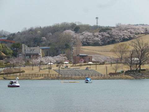 DSCN2846