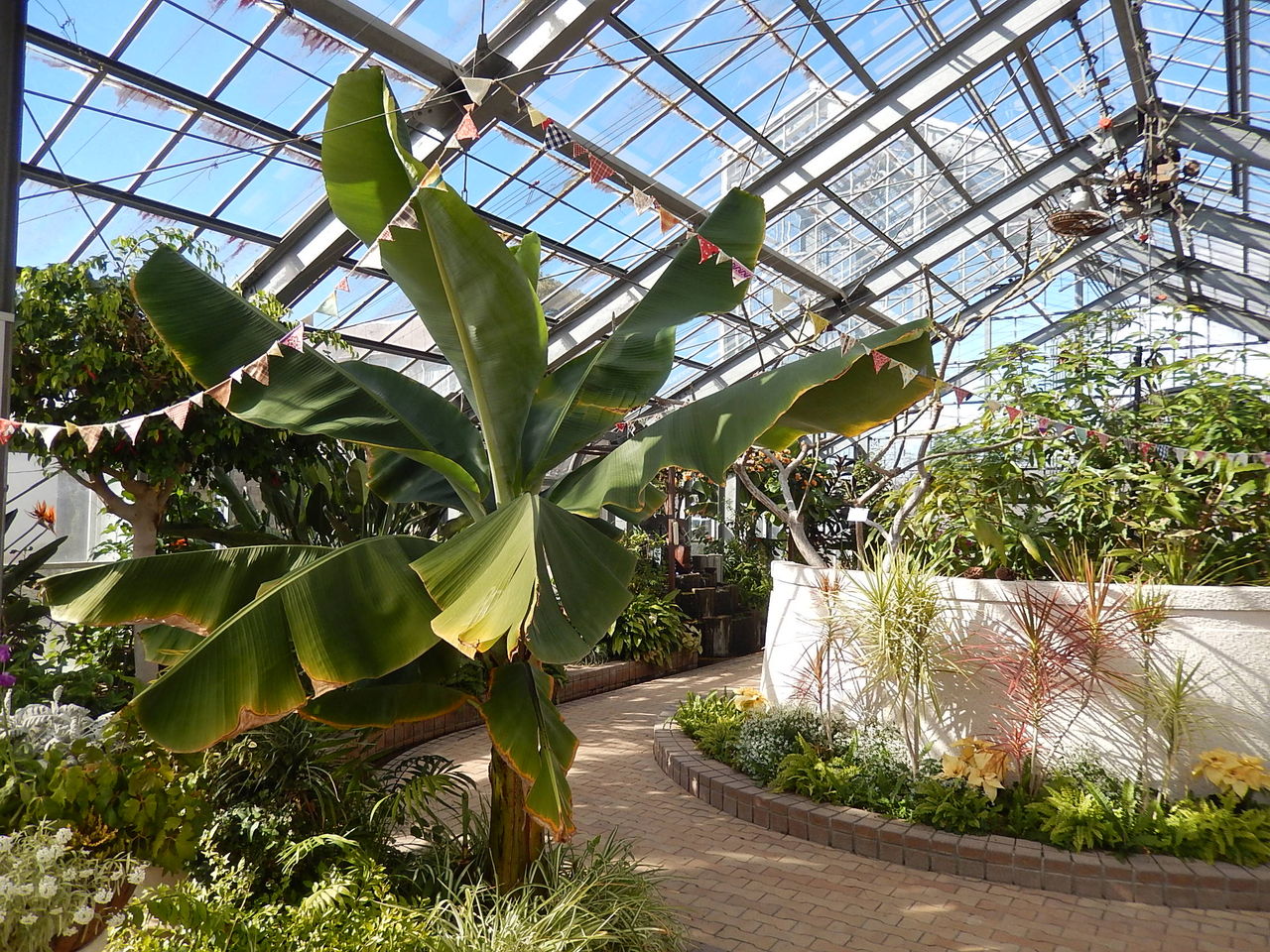 即発送可能 観賞温室 フラワー ガーデン Www Smithsfalls Ca