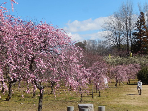DSCN0844