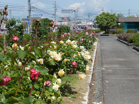 DSCN1868