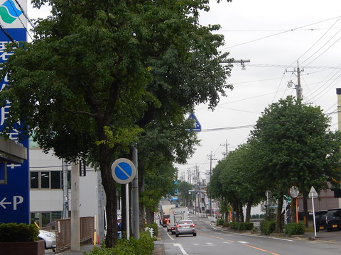 DSCN6585