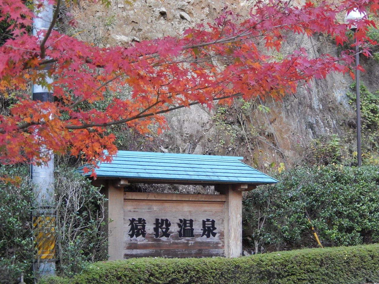 猿投温泉の紅葉まつり やつば池散歩道 豊田市 のブログ 猿投温泉の紅葉まつり やつば池散歩道 豊田市 のブログ