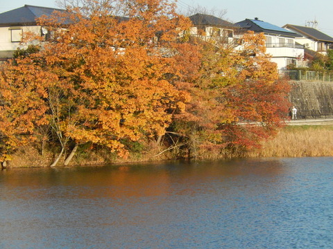 DSCN9438