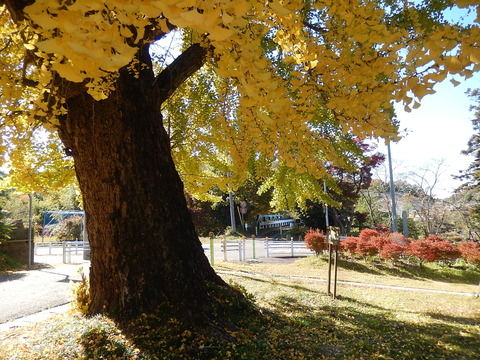 DSCN8053