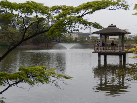 DSCN0927