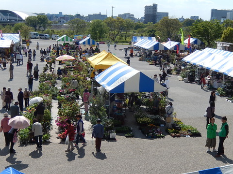DSCN8765