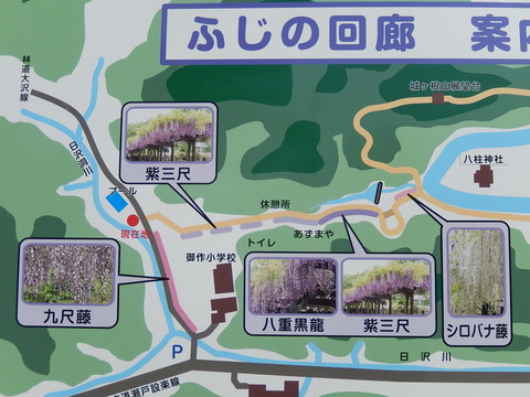 DSCN1157