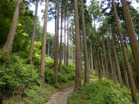 DSCN7573