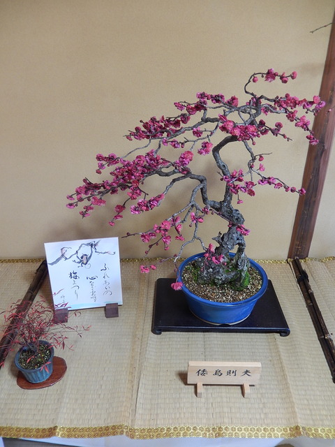 DSCN0801