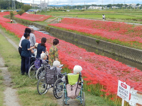 DSCN8685
