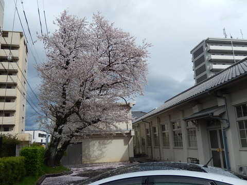 DSCN0426