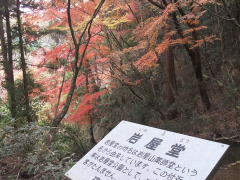 DSCF0087