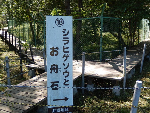 DSCN6033
