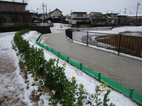 DSCF0021