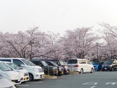 DSCN2220
