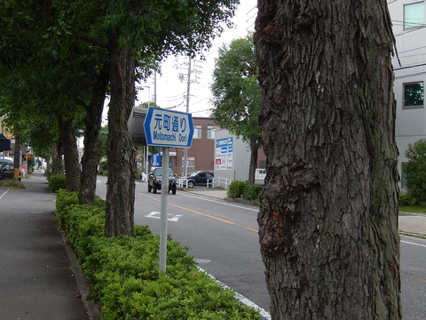 DSCN6291