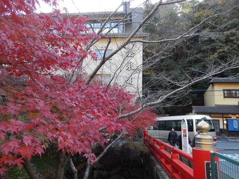 DSCN9310