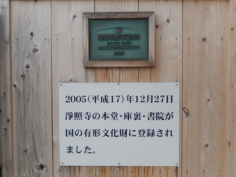 DSCN8618