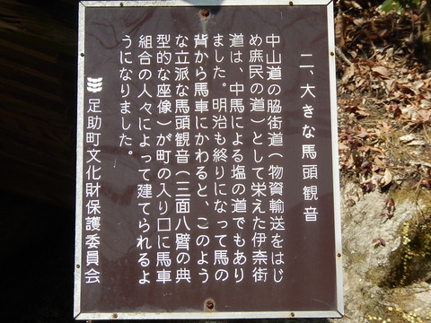 DSCN0789