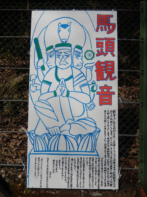 DSCN0793