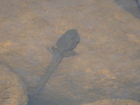 DSCN3365