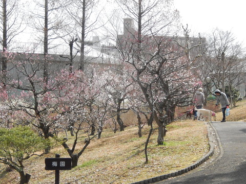 DSCN8841