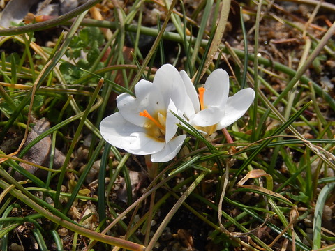 DSCN0970