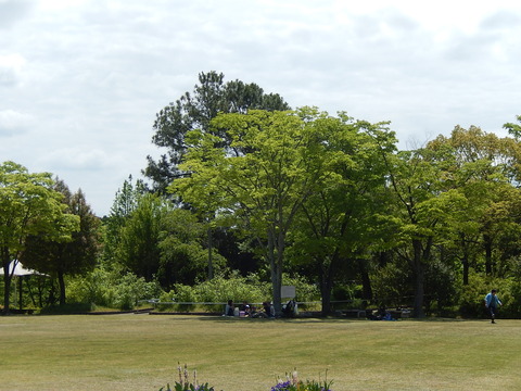 DSCN9129