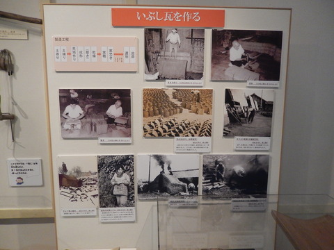 DSCN8035