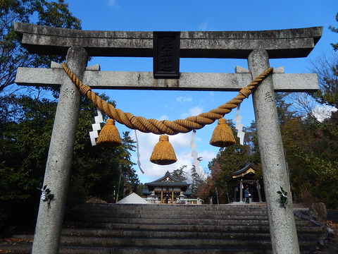 DSCN9335