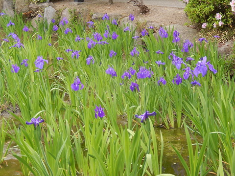 DSCN1320