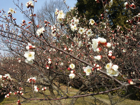 DSCF0028