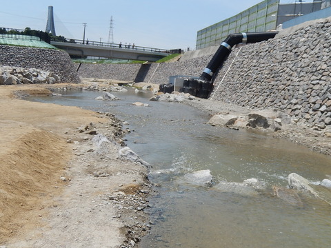 DSCN2734
