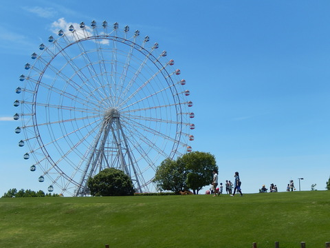 DSCN3696