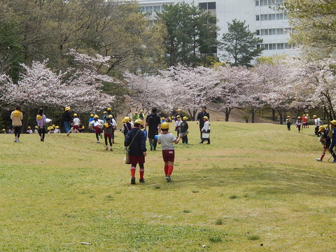 DSCN3061