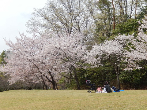 DSCN3067