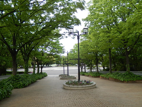 DSCN1491