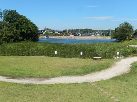 DSCN8142