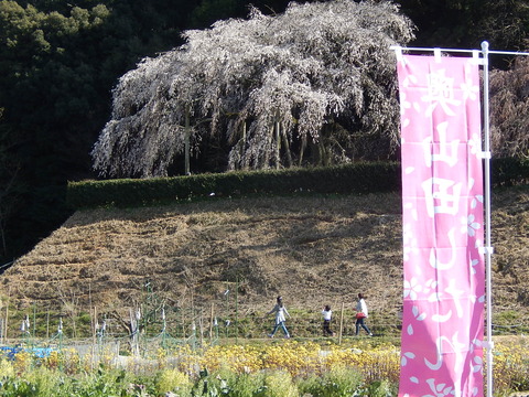DSCN9642
