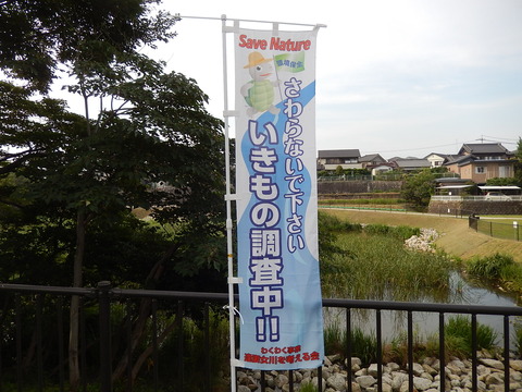 DSCN3912