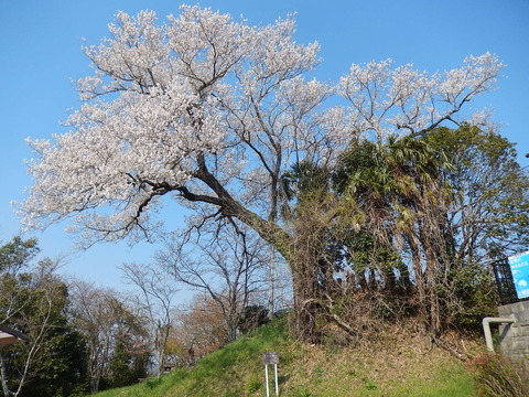 DSCN1855